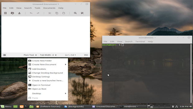Linux Mint Debian screenshot