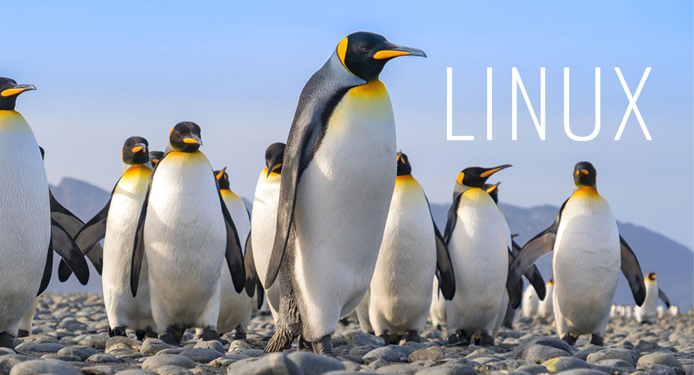 Linux operating system